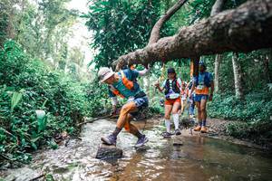 BIB: 
                            <button type="button" onclick="openModal(25369039)" class="btn btn-primary btn-sm float-right btn-popup" data-toggle="modal" data-target=".modal-high-quality">
                        <i class="fas fa-shopping-cart"></i> Add to Cart
                    </button>
                                            <button type="button" onclick="isThisMe(25369039, true)" class="btn btn-success btn-sm float-right btn-popup btn-isme hidden" data-toggle="tooltip" data-placement="bottom" title="นี่คือรูปของคุณใช่ไหม คลิกที่นี่เพื่อเอาเข้าอัลบั้ม">
                        <i class="fas fa-plus"></i> Add to album
                    </button>
                    <button type="button" onclick="isThisMe(25369039, false)" class="btn btn-warning btn-sm float-right btn-popup btn-isnotme hidden">
                        <i class="fas fa-ban"></i> Remove from album
                    </button>